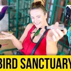 Rockland Bird  Sanctuary